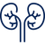 Supports Kidney Filtration in 7 Days
